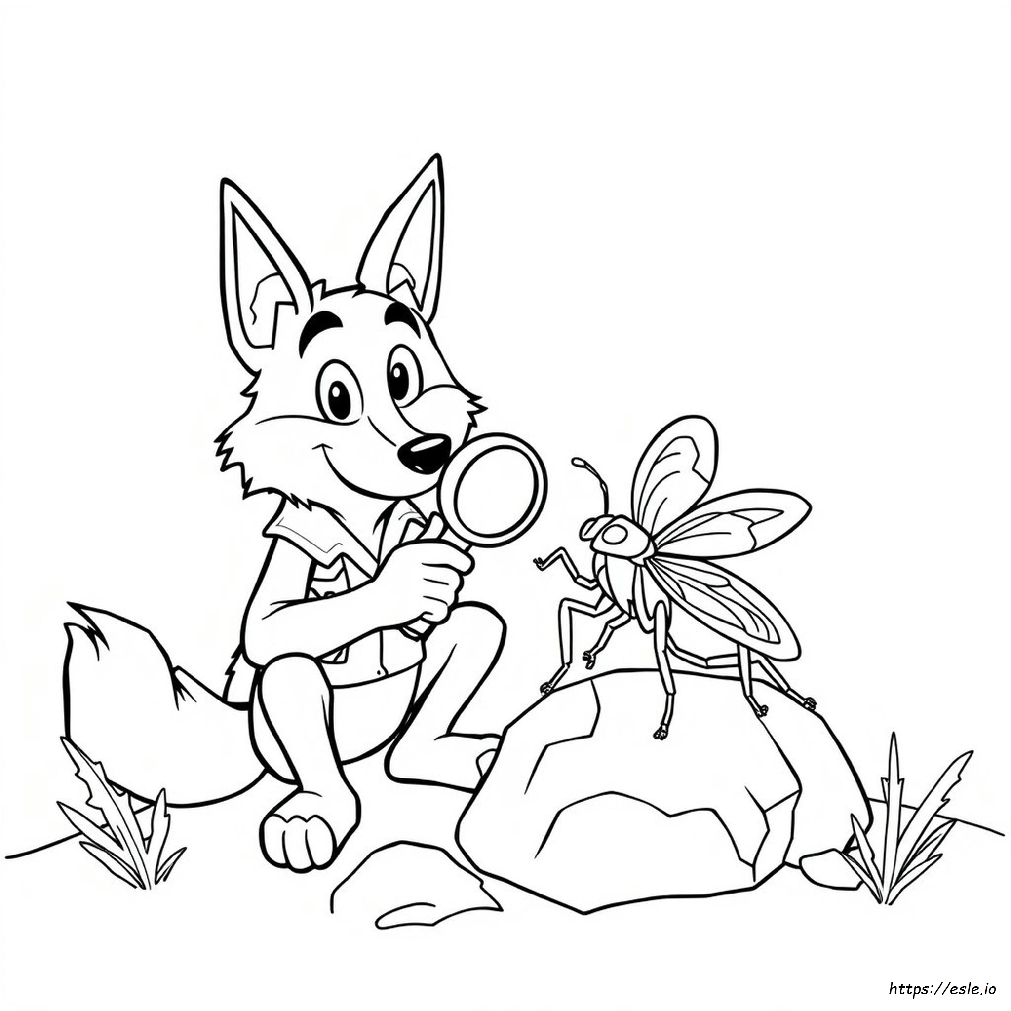 Coyote Peterson Coloring Pages