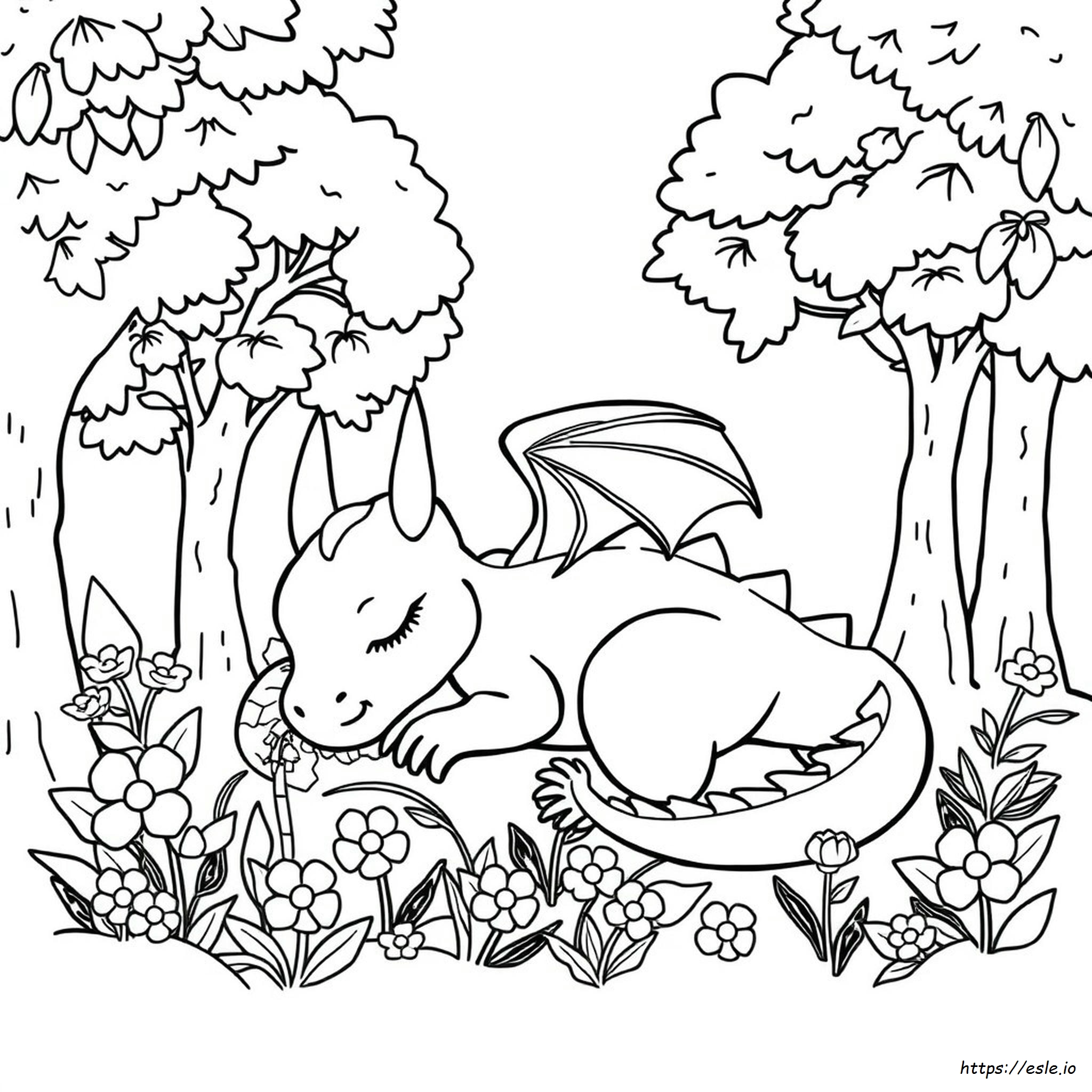 Desenhos De Dragões Para Colorir Para Pré-Escolares
