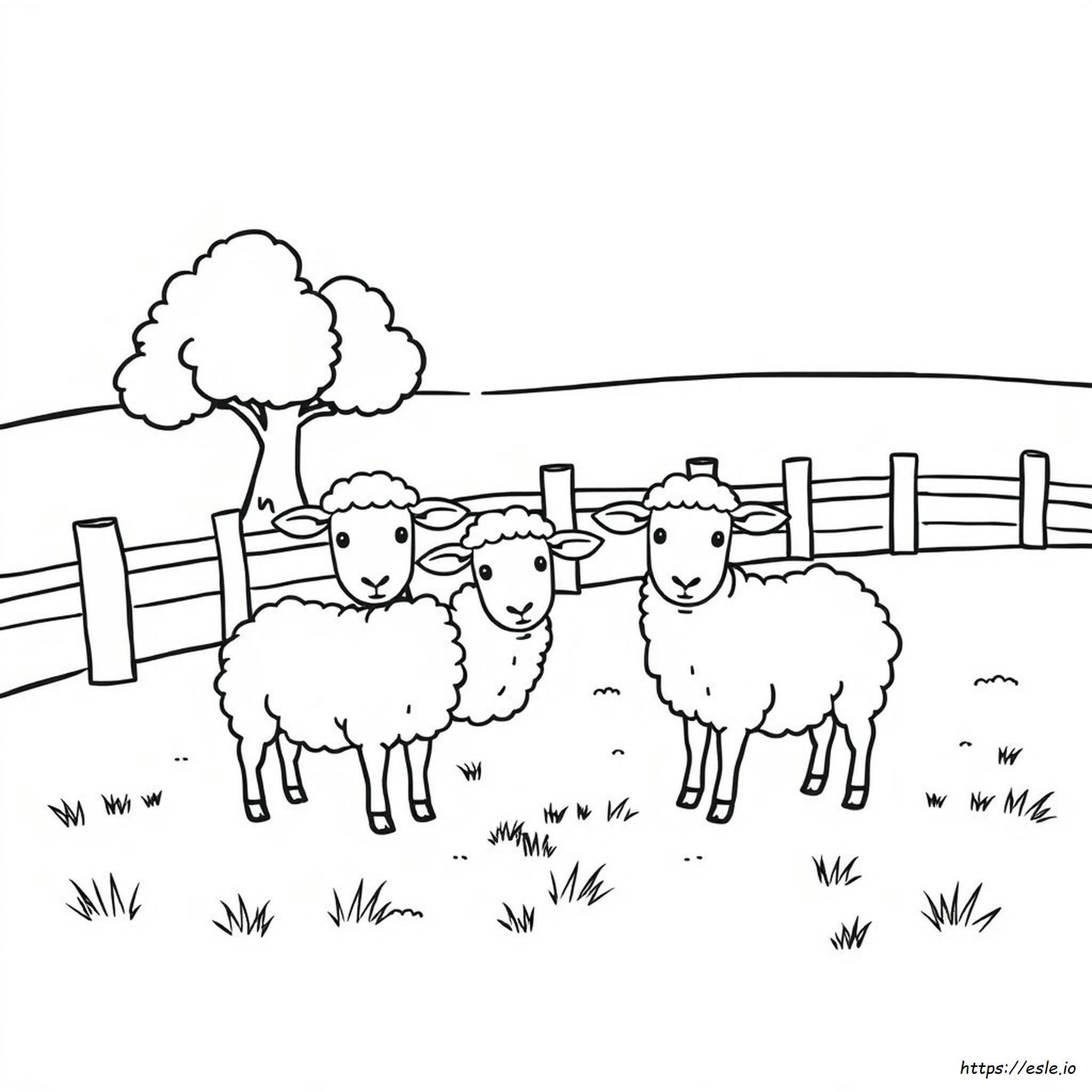 Black And White Sheep Coloring Page