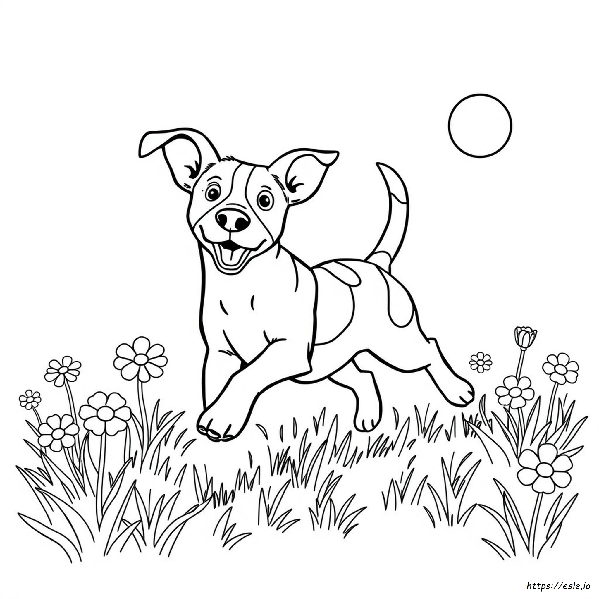 Jack Russell Dog Coloring Pages