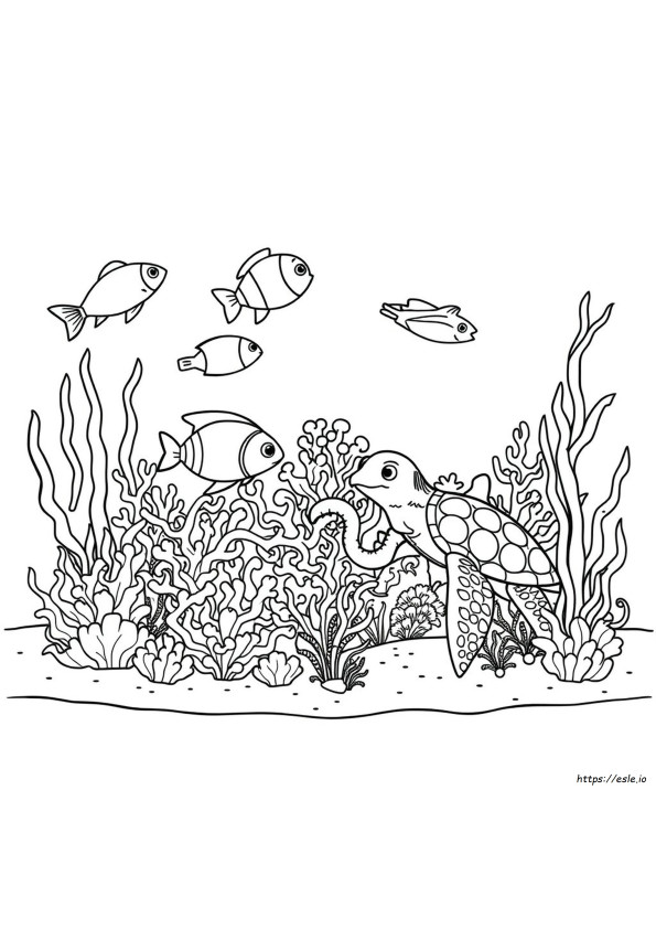海の生き物 ぬりえ 無料
