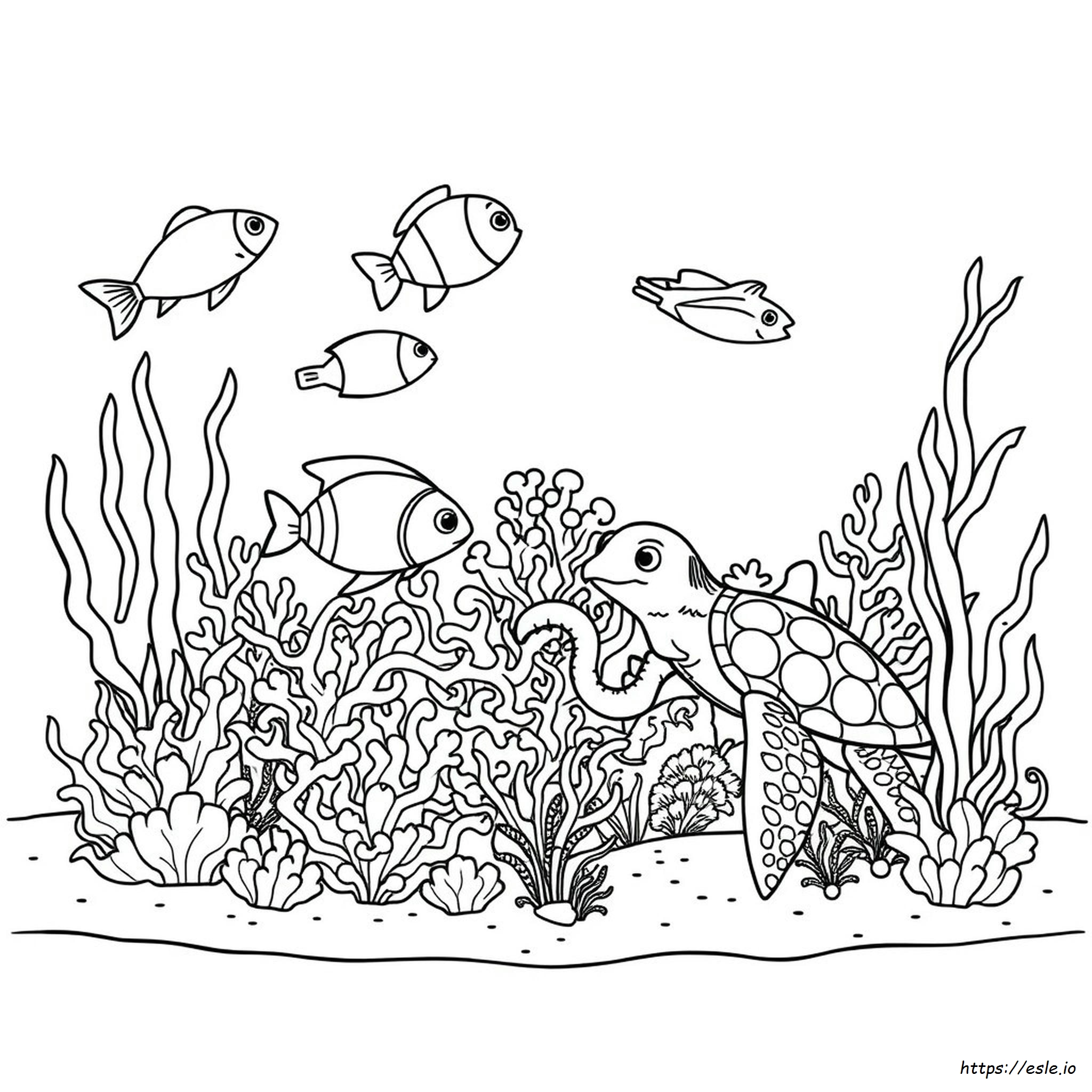 Marine Animals Coloring Pages
