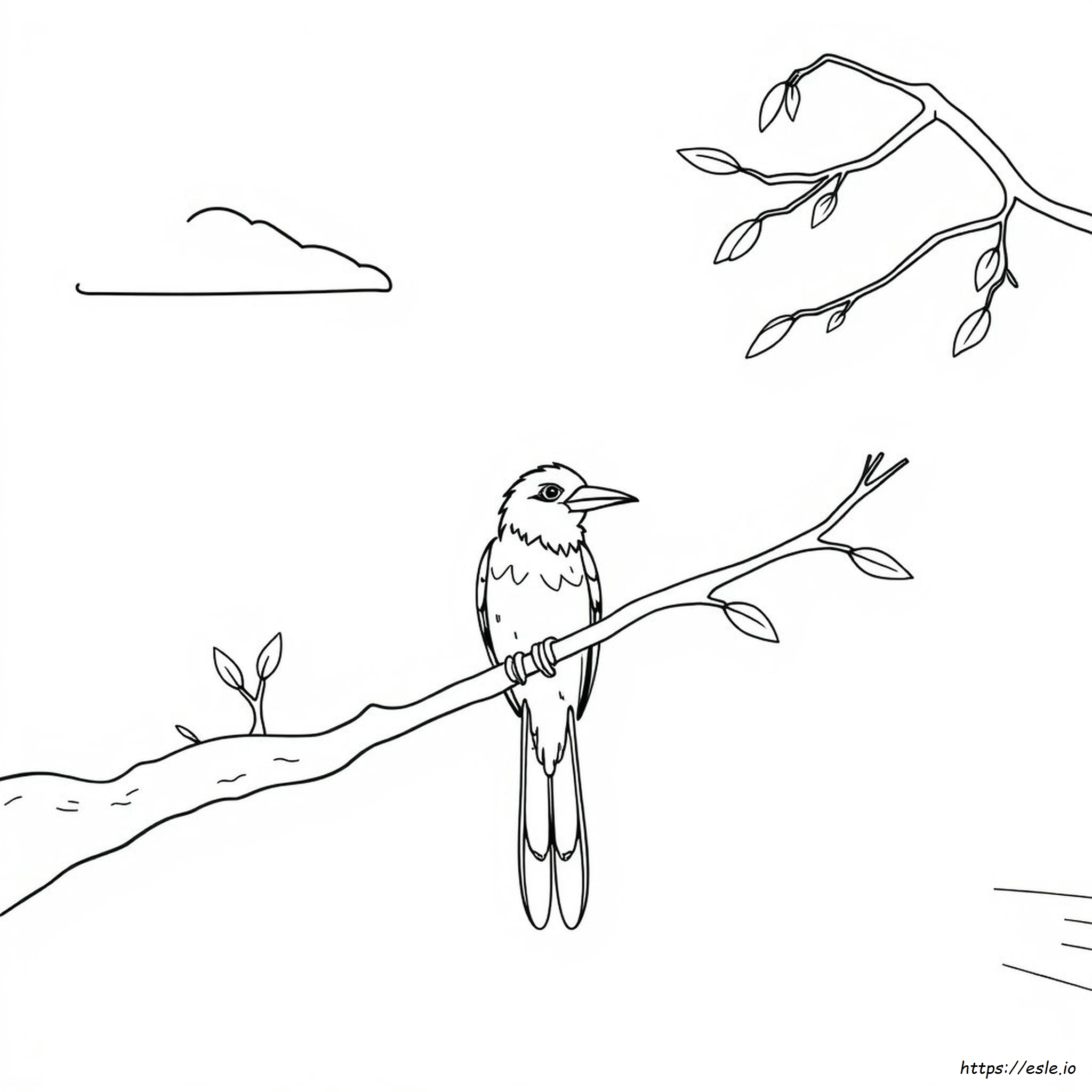 Big Bird Para Colorir Para Imprimir