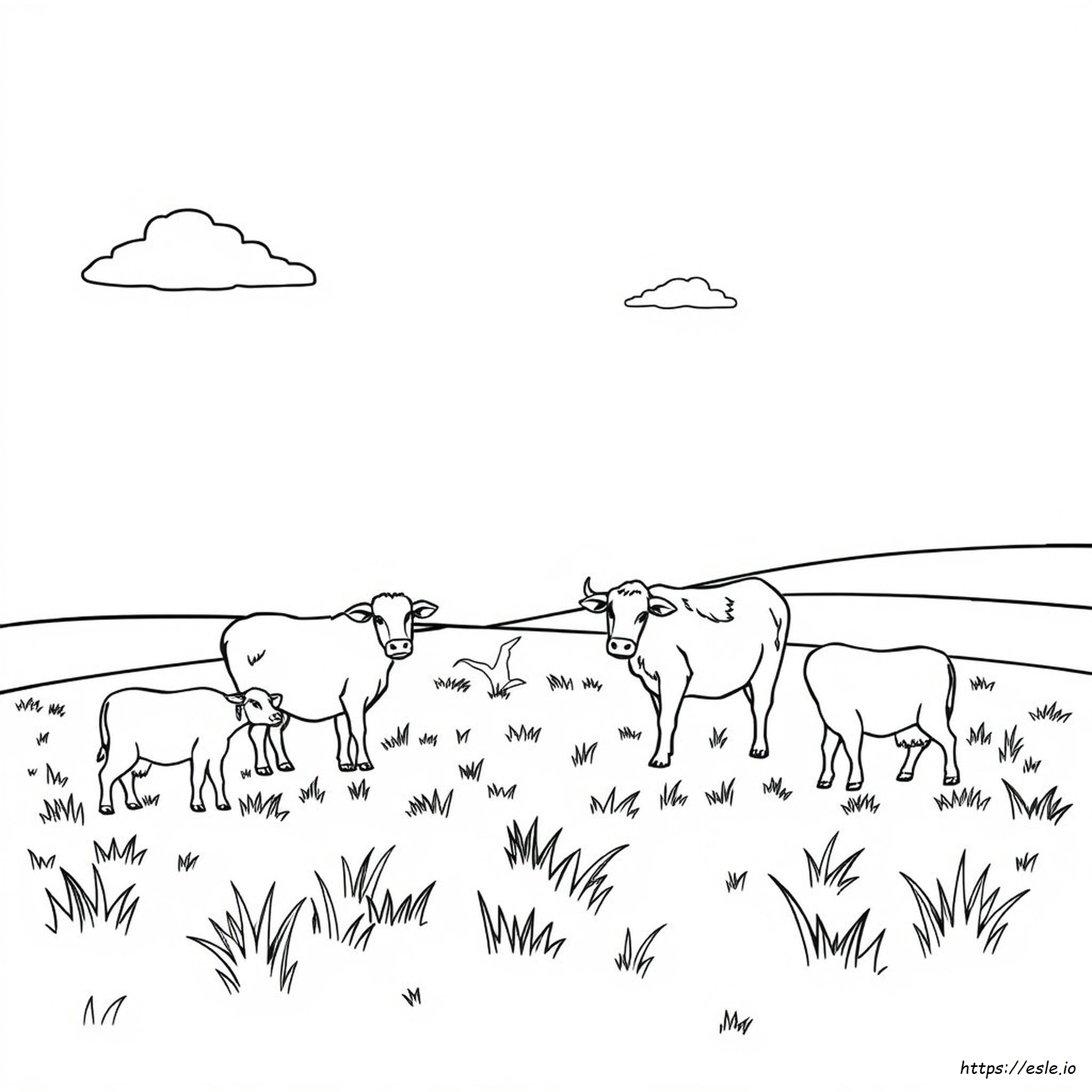 Farm Animal Coloring Book Pages