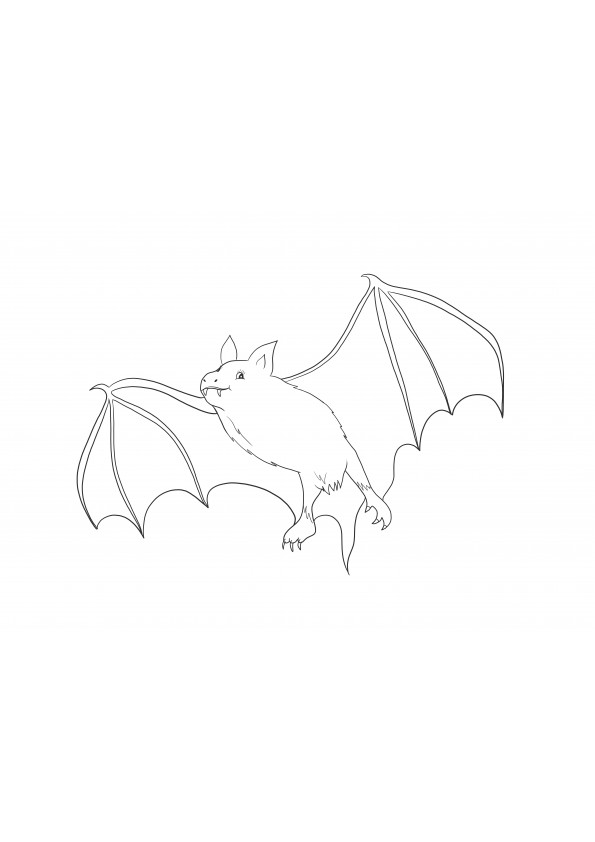 Morcego vampiro grátis para colorir e imprimir imagem para crianças