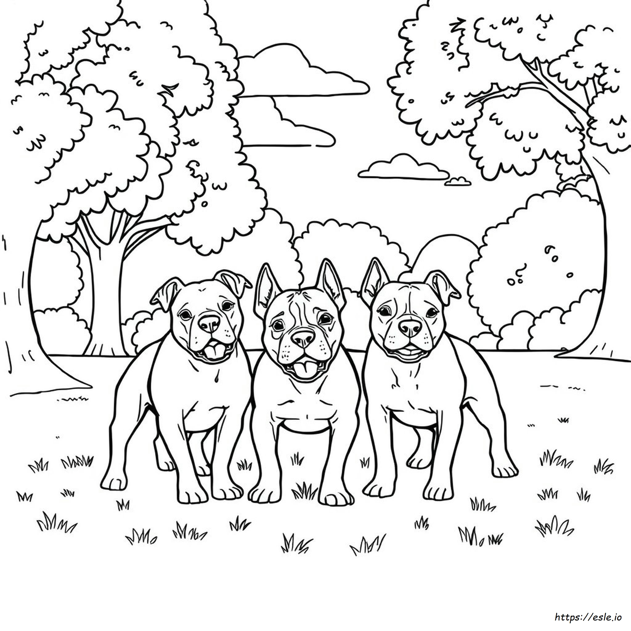 Free Coloring Pages Of Pitbulls