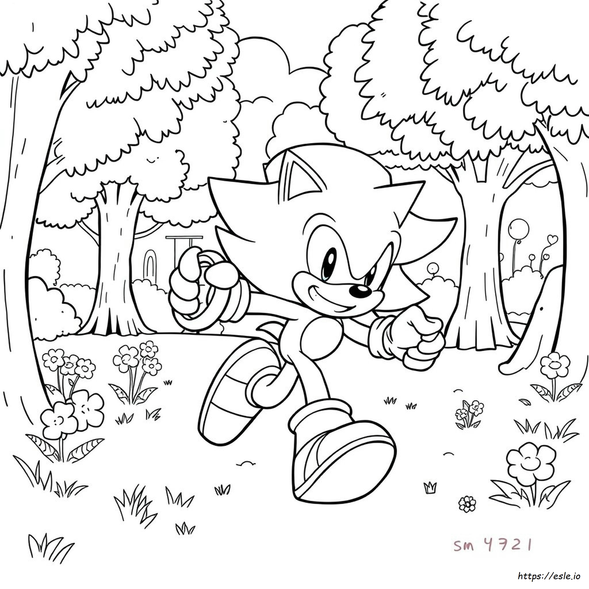 Sonic El Erizo 3 Para Colorear