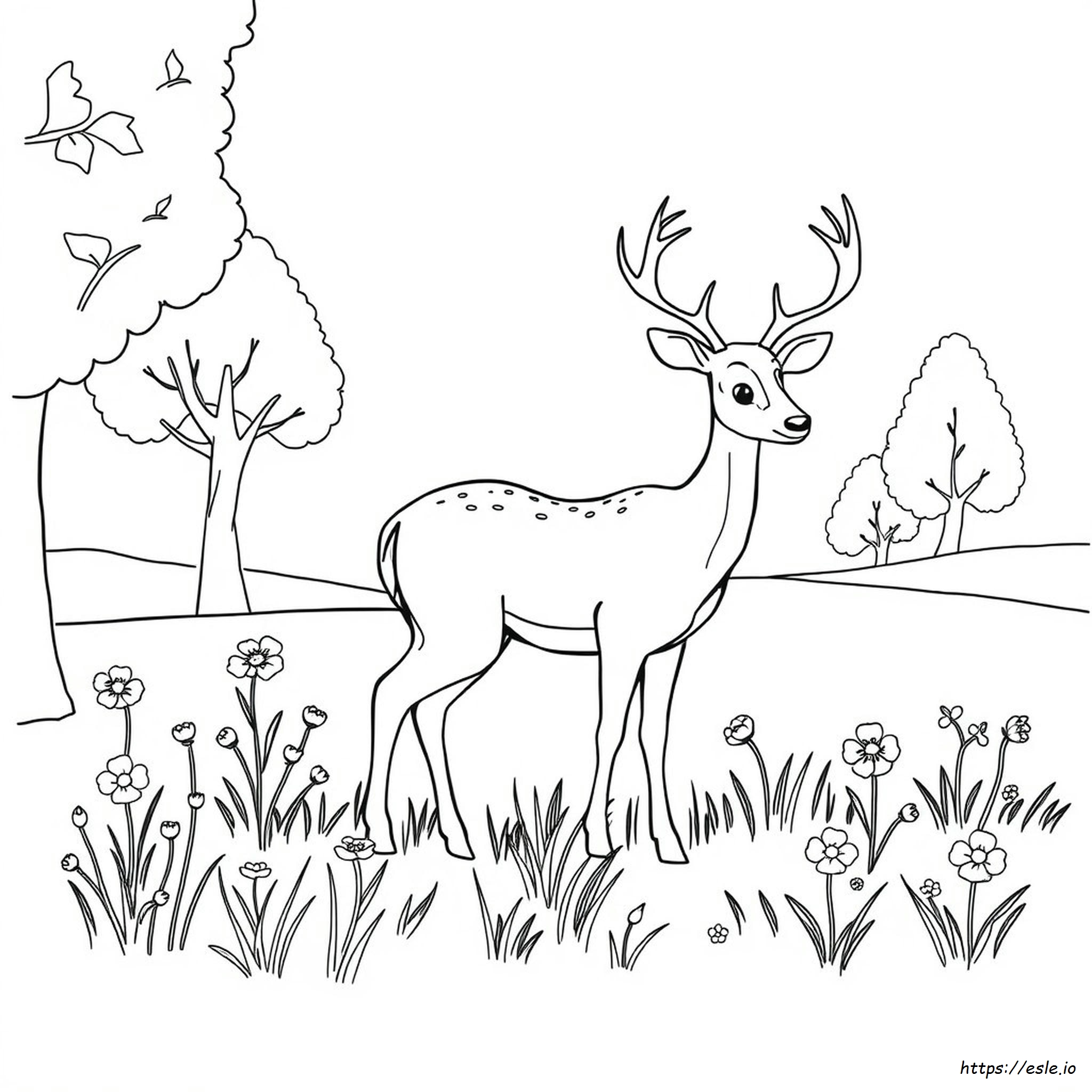 Deer Picture For Colouring