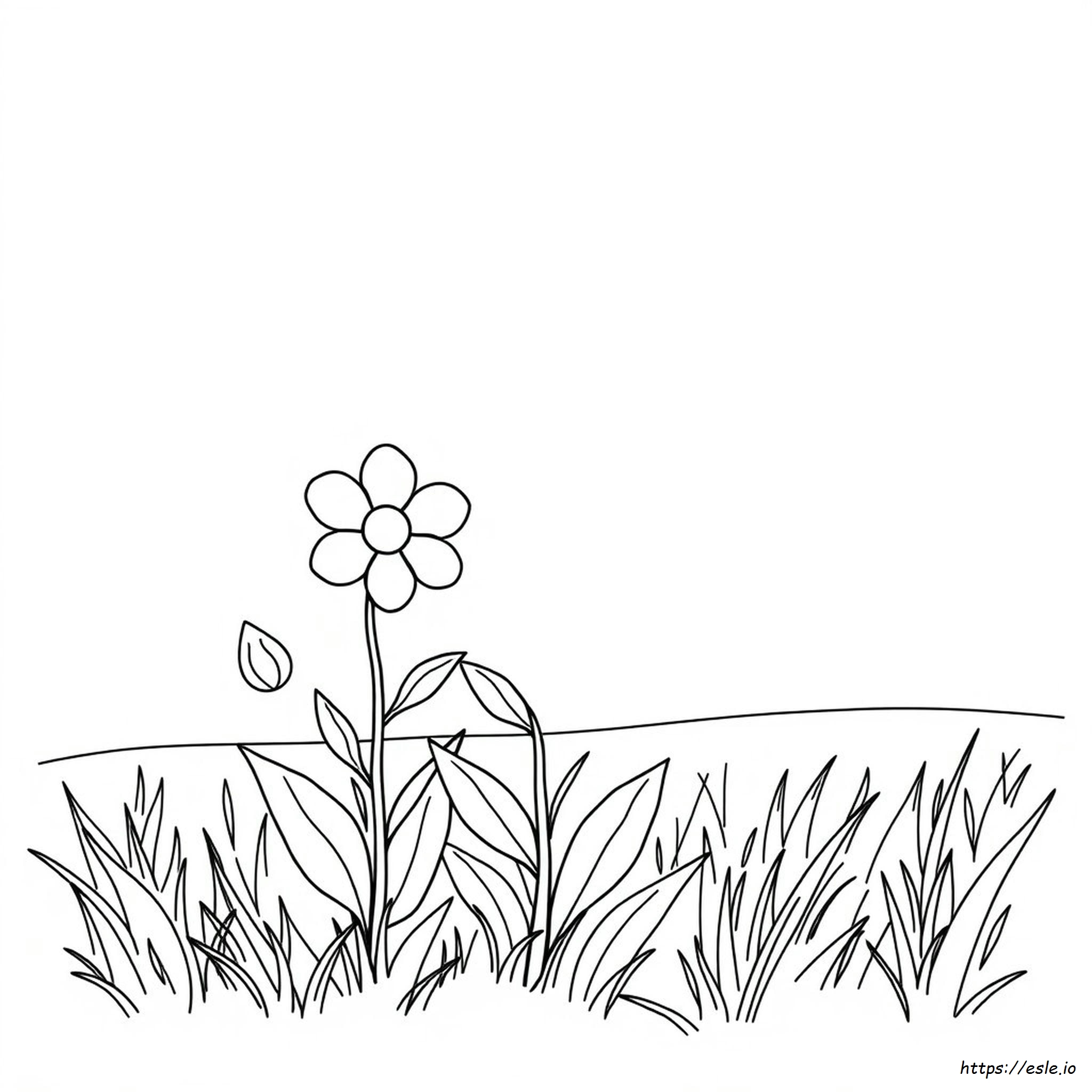 Coloring Sheet Free Printable Flower Coloring Pages