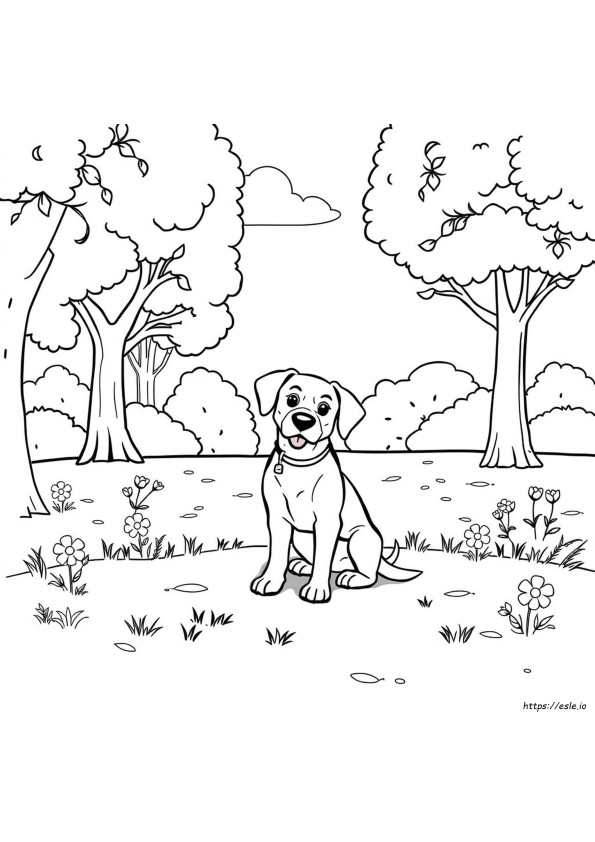 Free Coloring Pages Of Dogs To Print