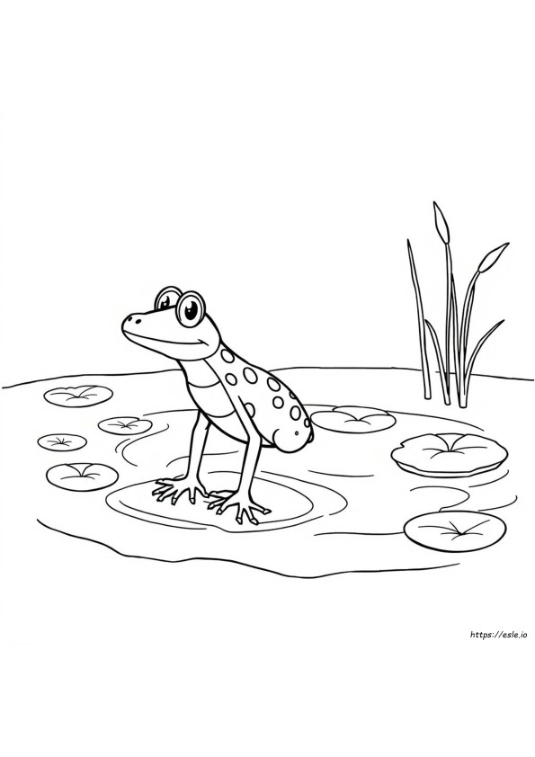 Slijkspringer Kleurplaat