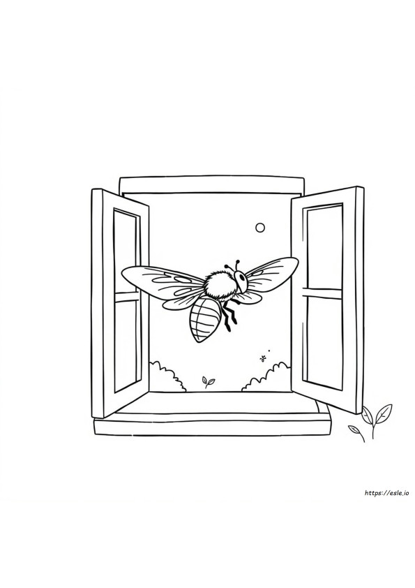 House Fly Coloring Page