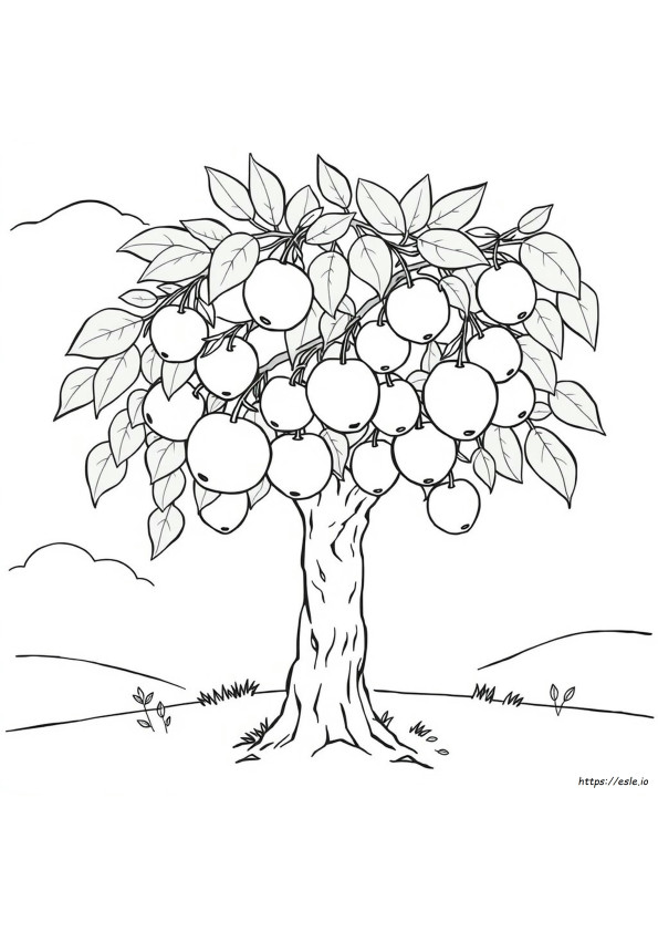 Fruit Printable Coloring Pages