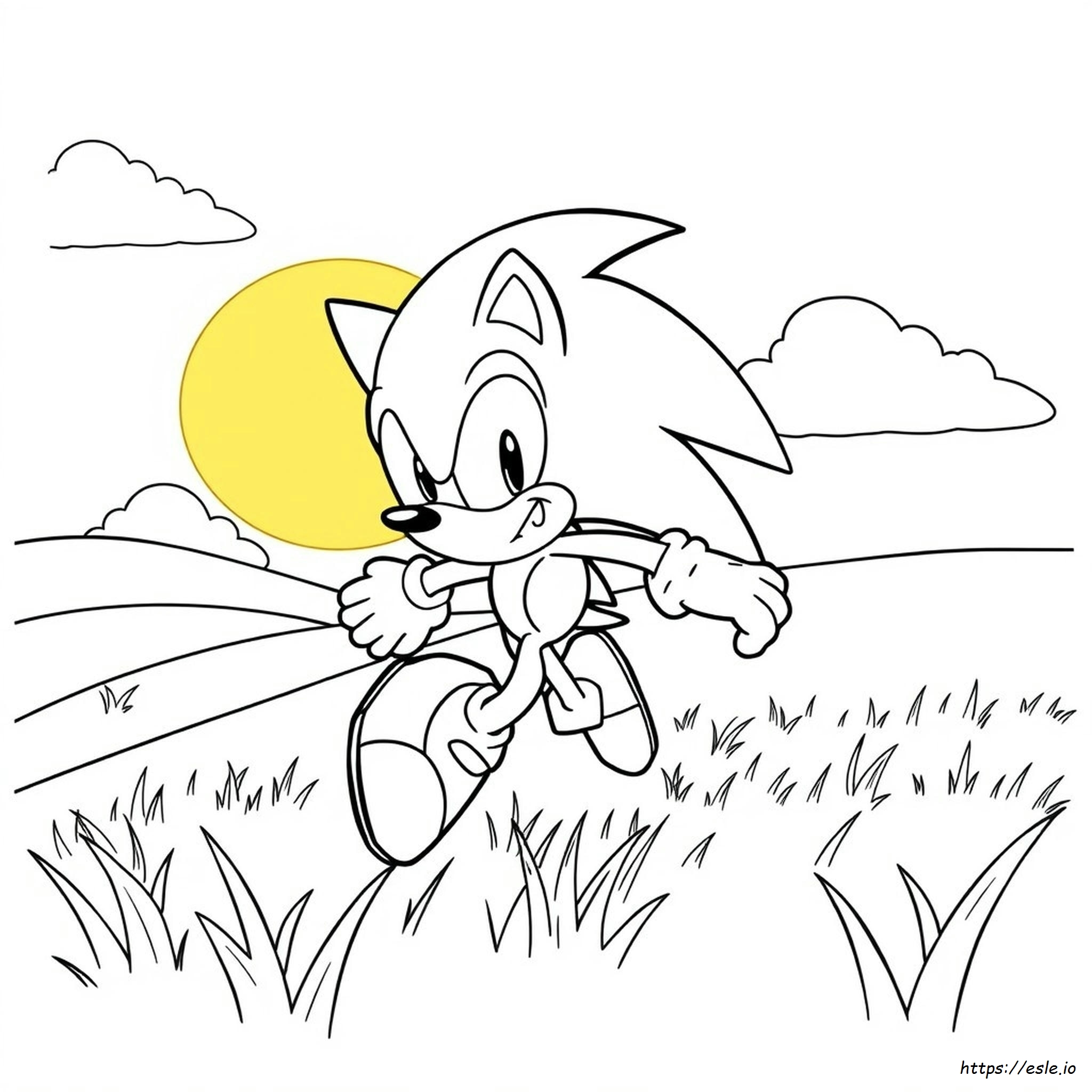 Gambar Mewarnai Sonic The Hedgehog
