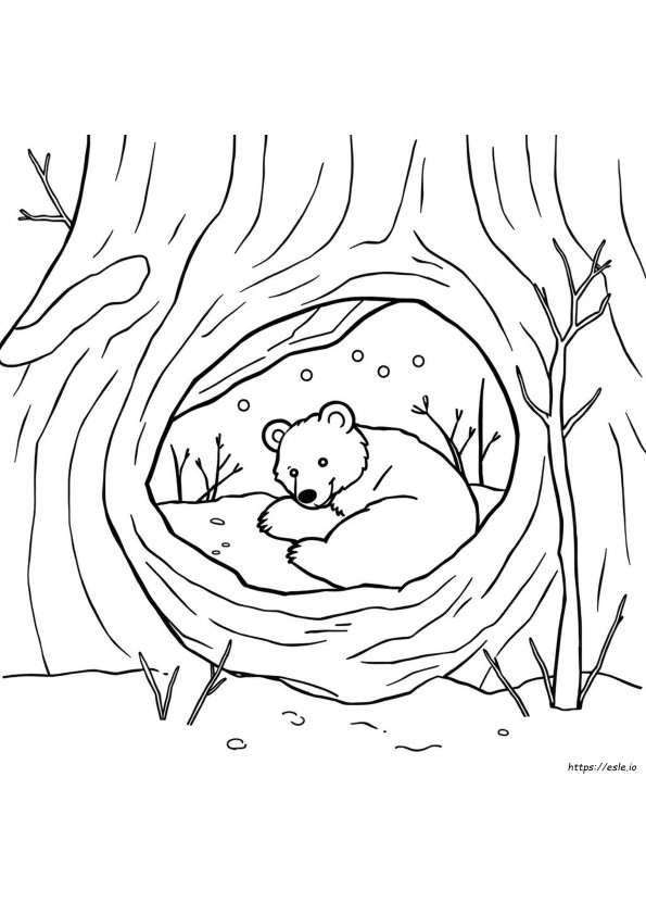 Hibernation Coloring Pages Preschool