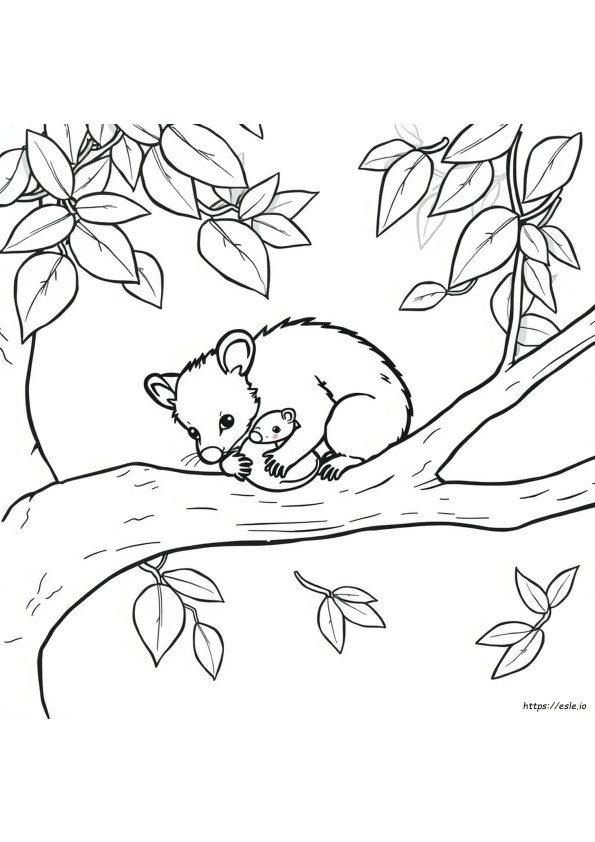 Gambar Mewarnai Opossum