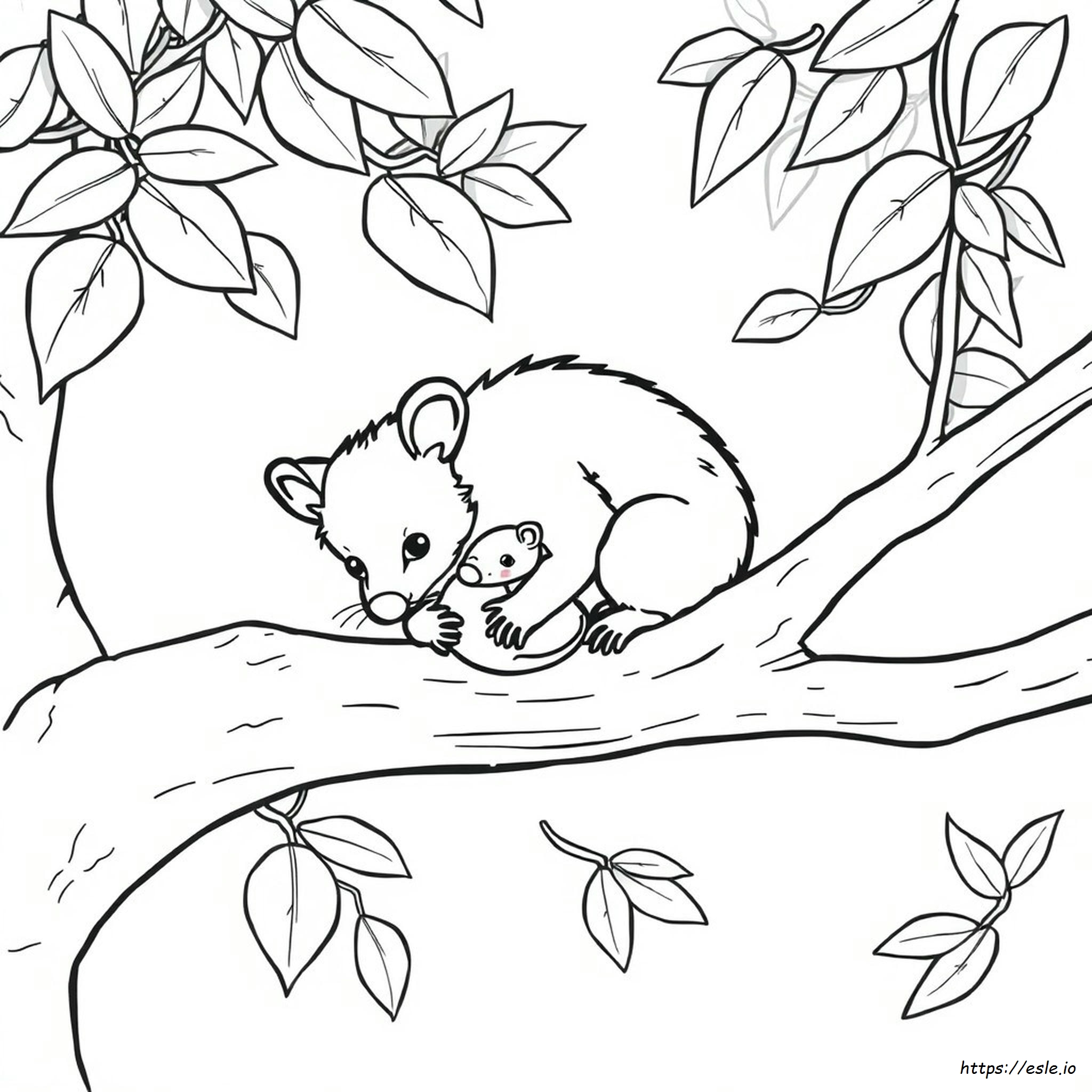 Gambar Mewarnai Opossum - PDF Gratis