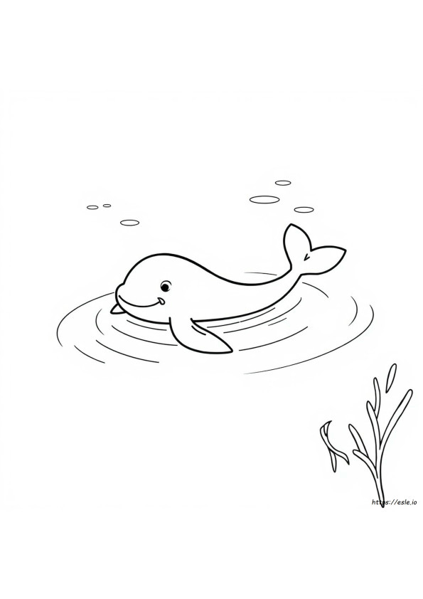 Wailmer Coloring Page
