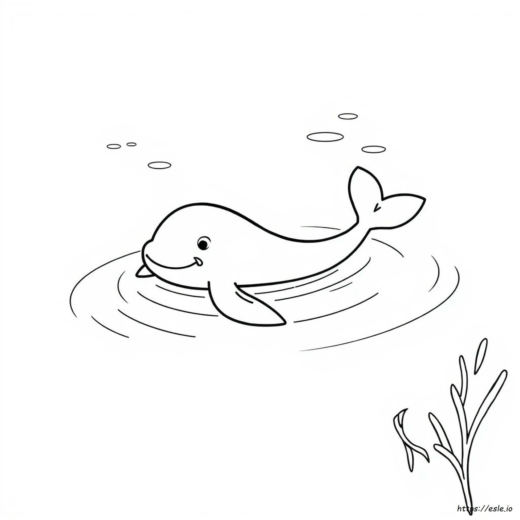 Wailmer Coloring Page