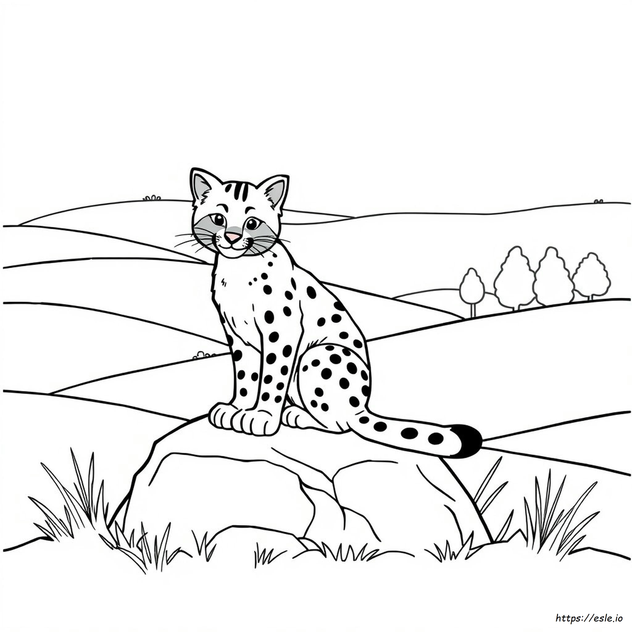Bobcat Coloring Pages Print