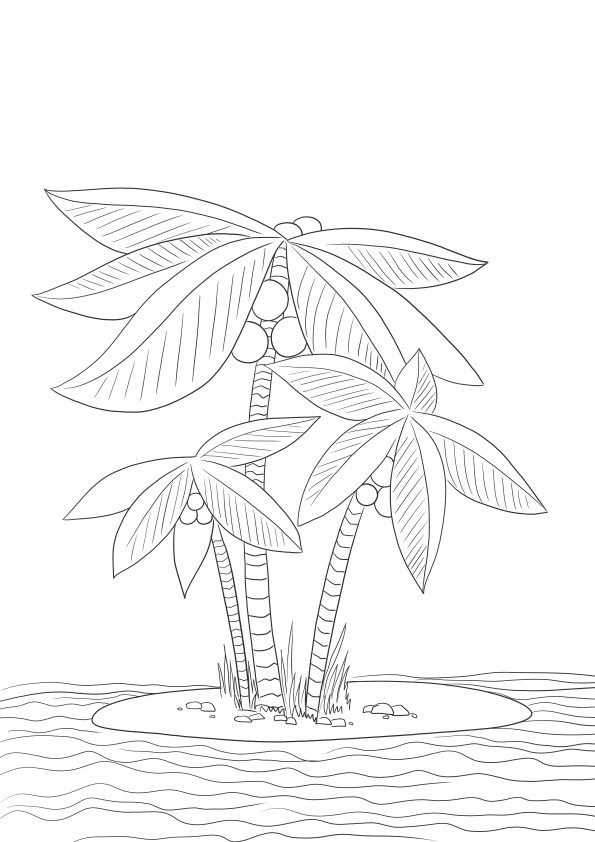 High palm trees for free printing and coloring for all ages