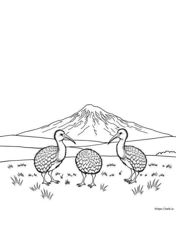Neuseeland Ausmalbilder