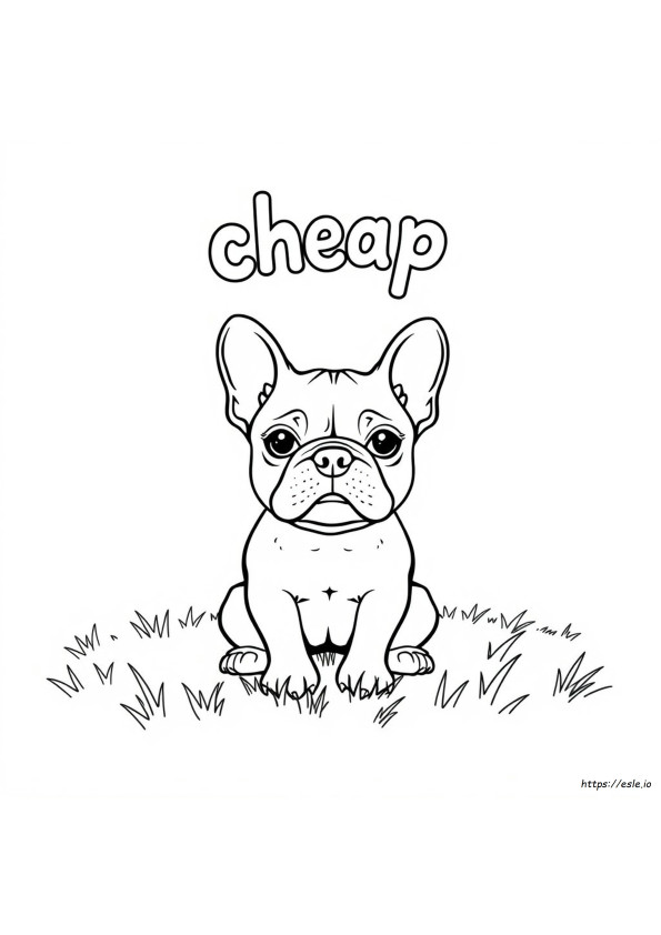 Cheapest French Bulldog Color