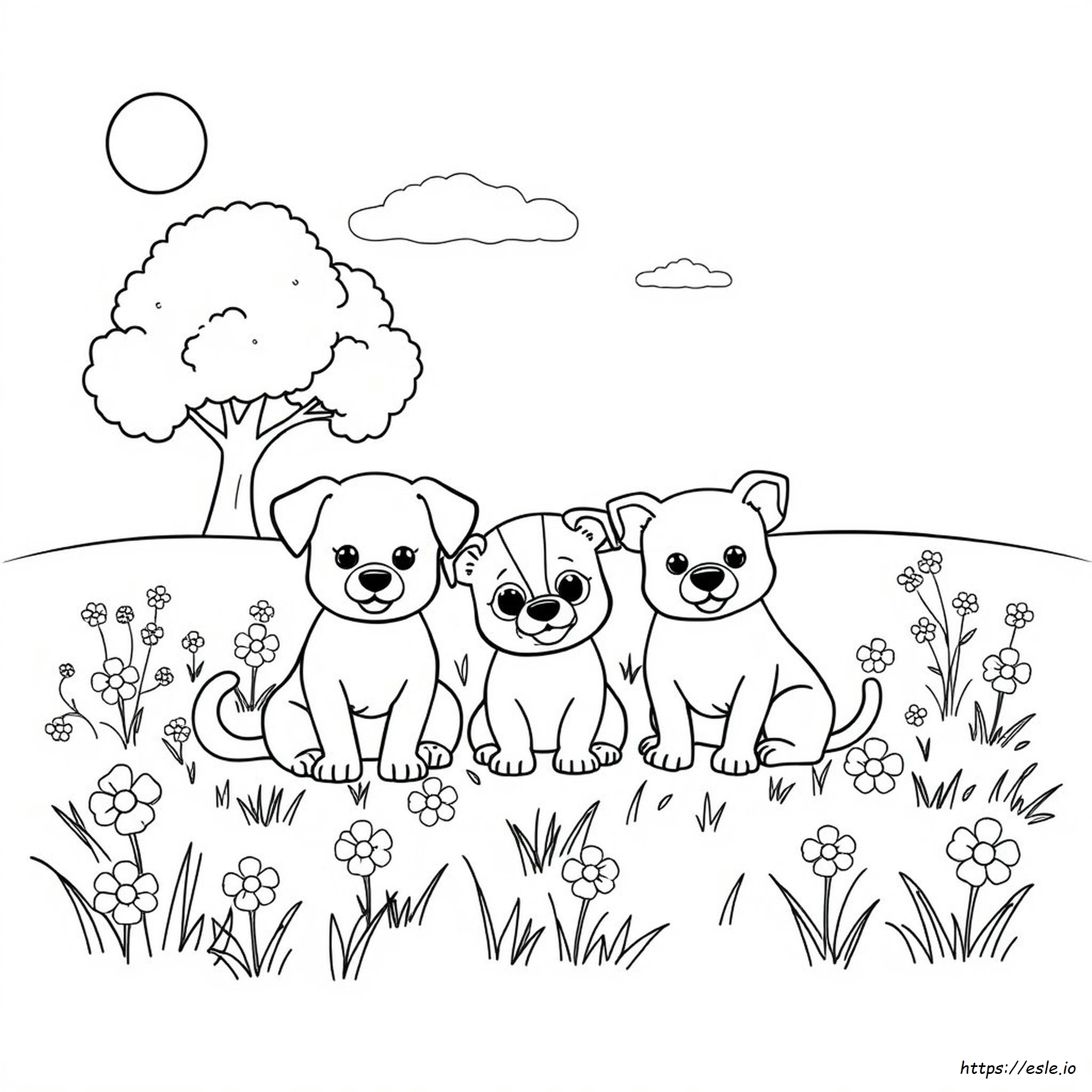 Coloriage Animaux De Compagnie à Imprimer
