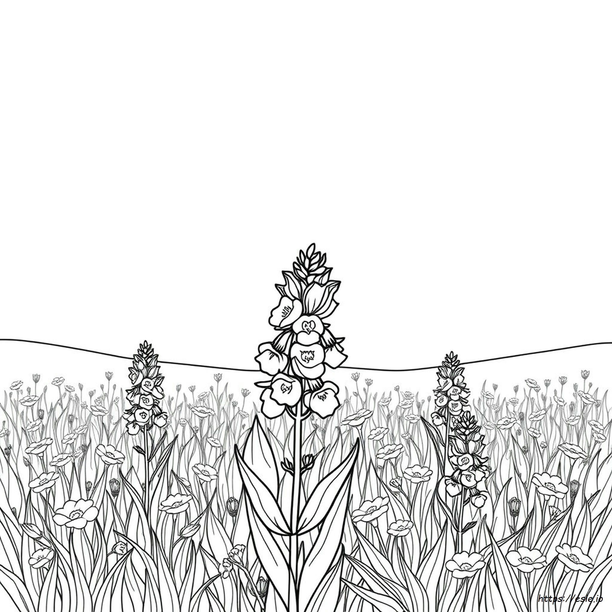 What Color Is A Bluebonnet