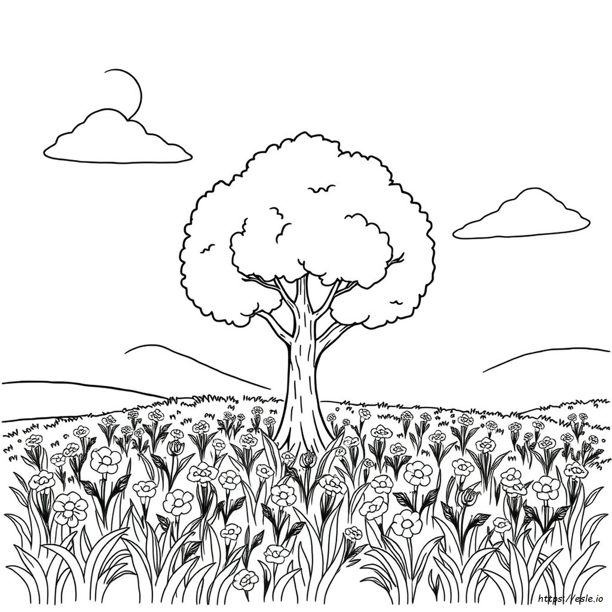 Immagini Di Alberi Da Colorare
