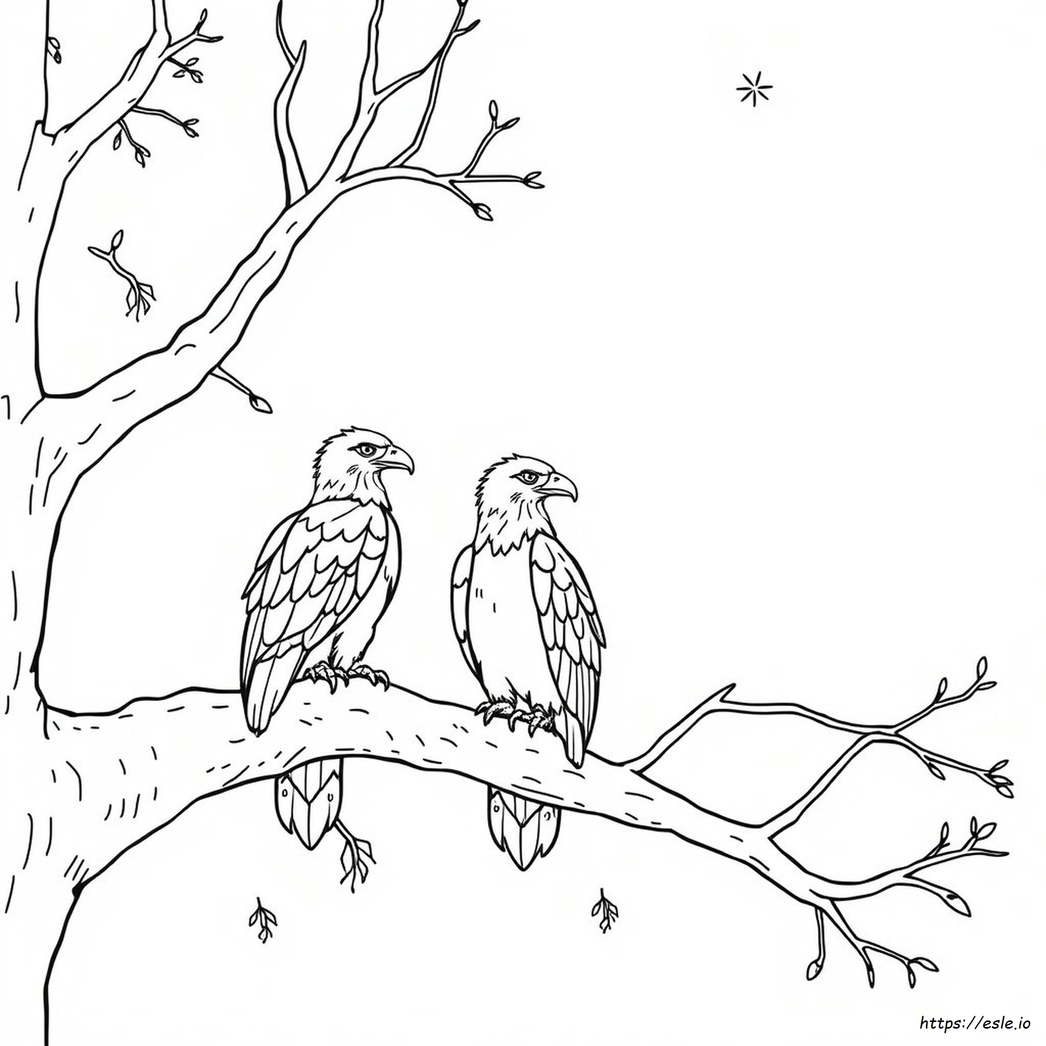 Eagle Coloring Page For Kids