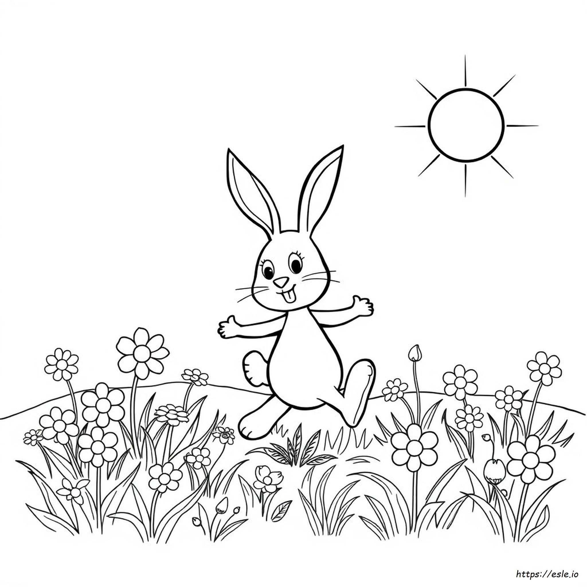Spunky Coloring Pictures