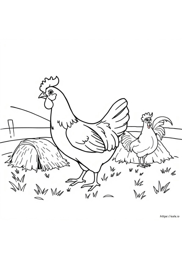 Chicken Colouring In Pages