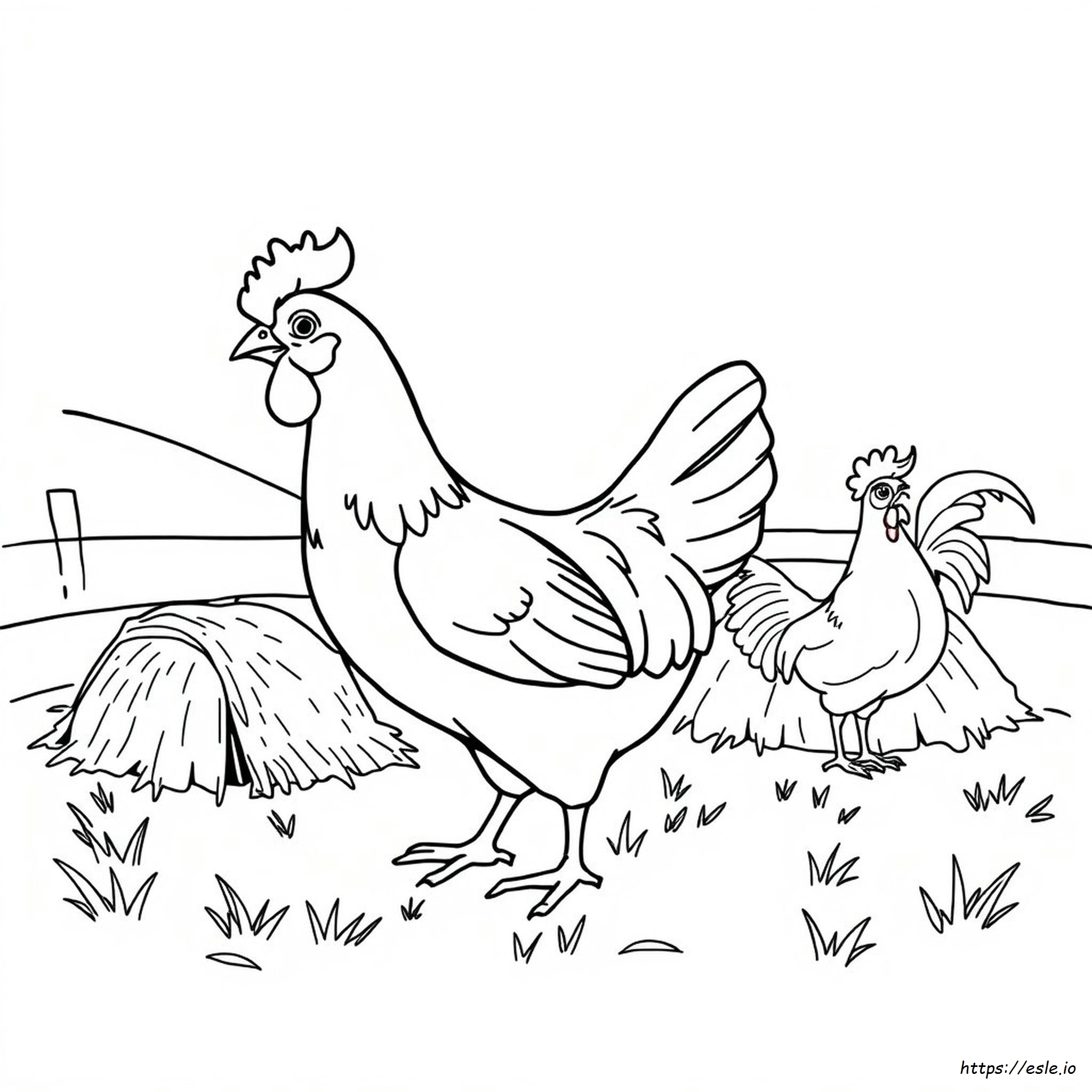 Gambar Mewarnai Ayam - Gratis Untuk Dicetak