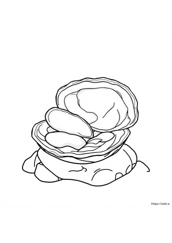 What Color Is Abalone