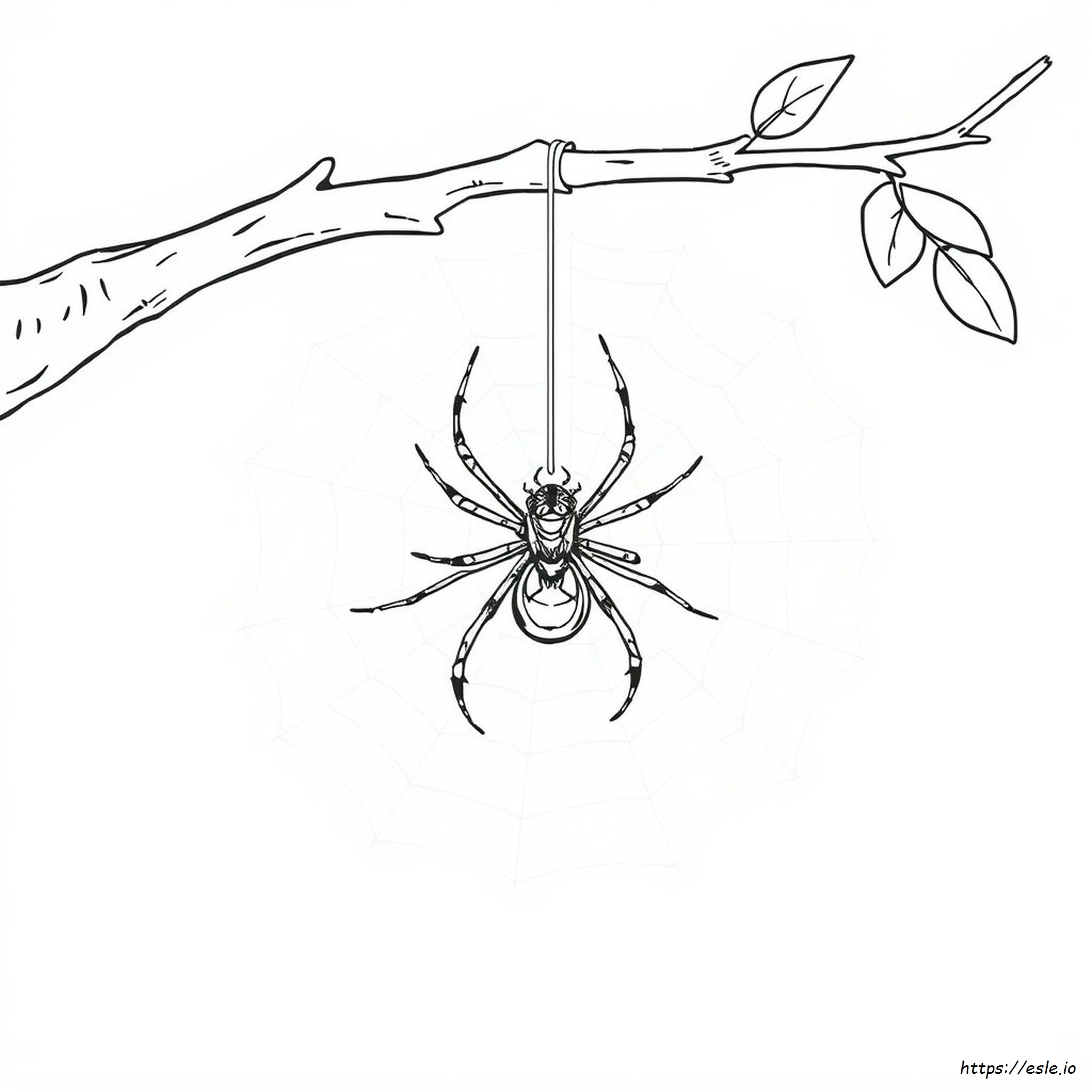 Black Widow Coloring Pictures