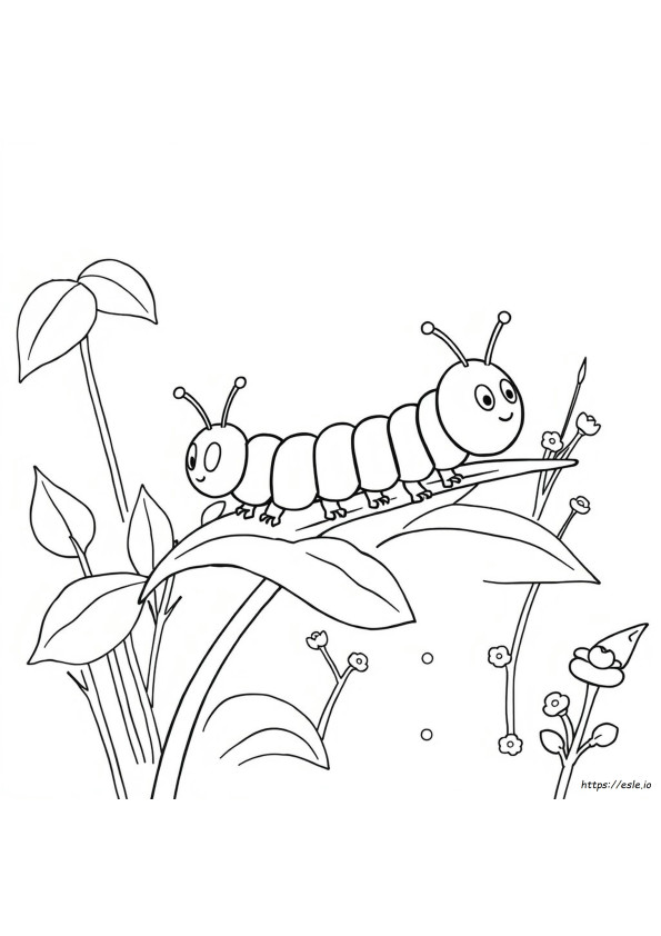 Caterpillar Images For Colouring