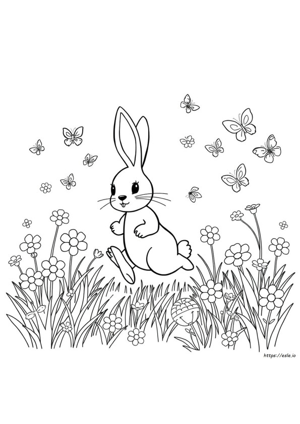 Rabbit Colouring Pages Printable
