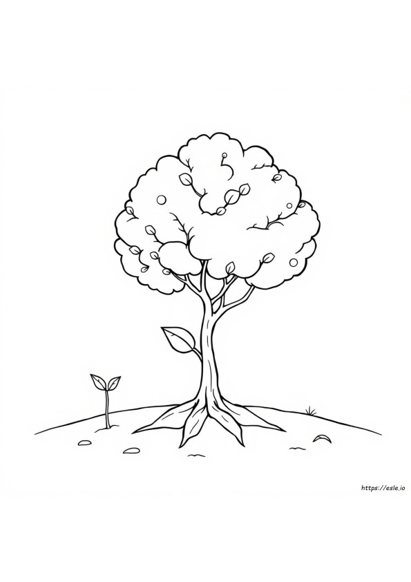 Faith Like A Mustard Seed Coloring Page