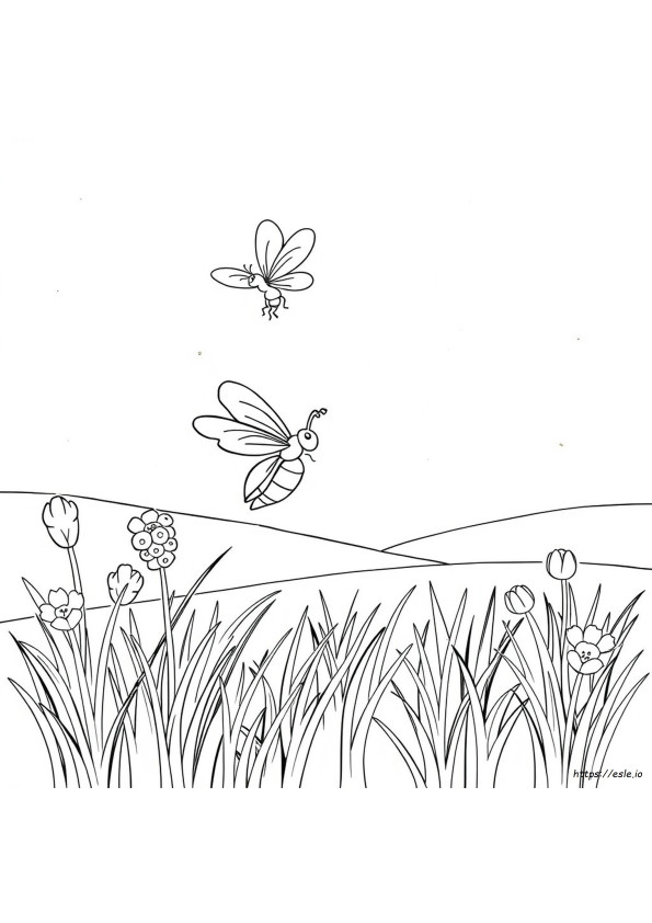 Vagalume Para Colorir