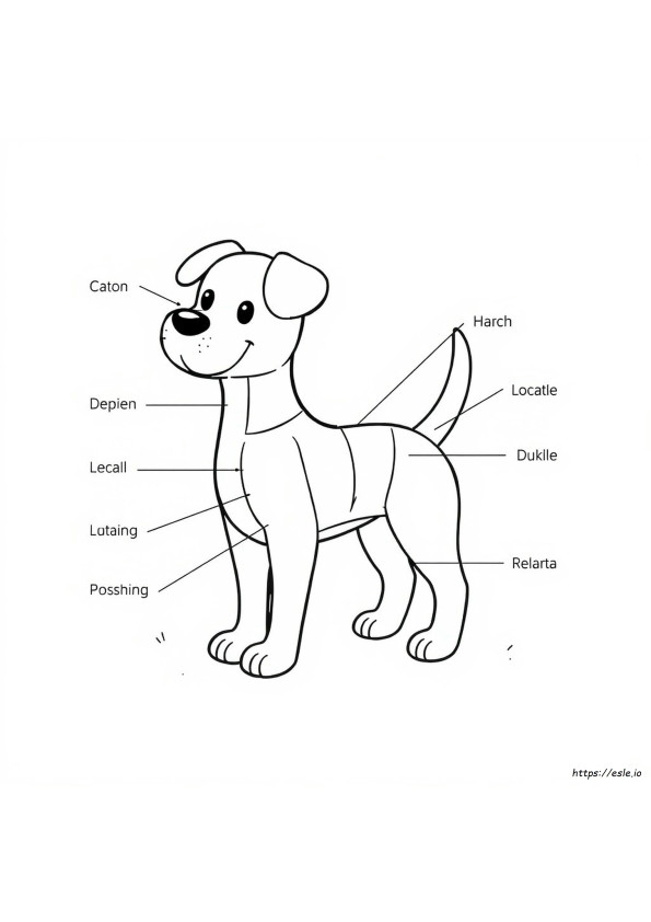 Body Parts Coloring Pages For Preschool
