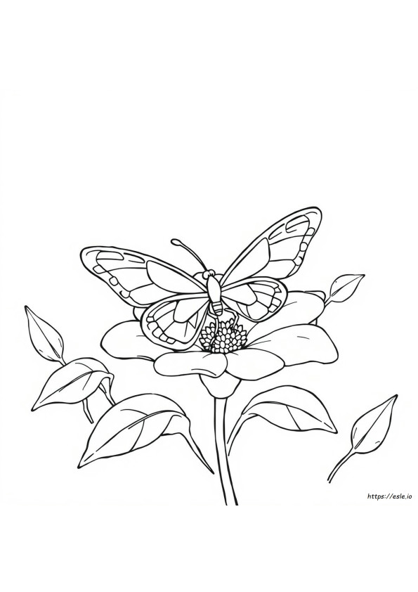 Catch Coloring