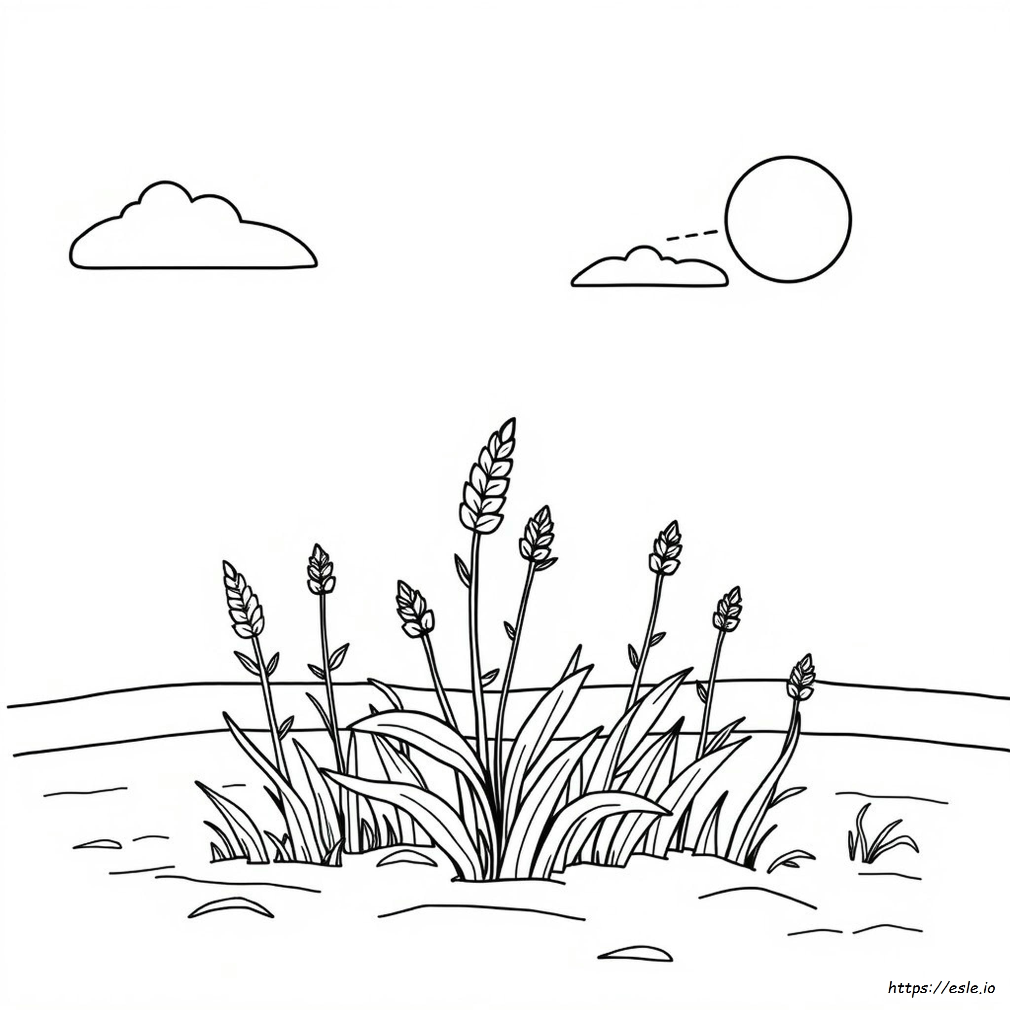 Free Printable Weed Coloring Pages