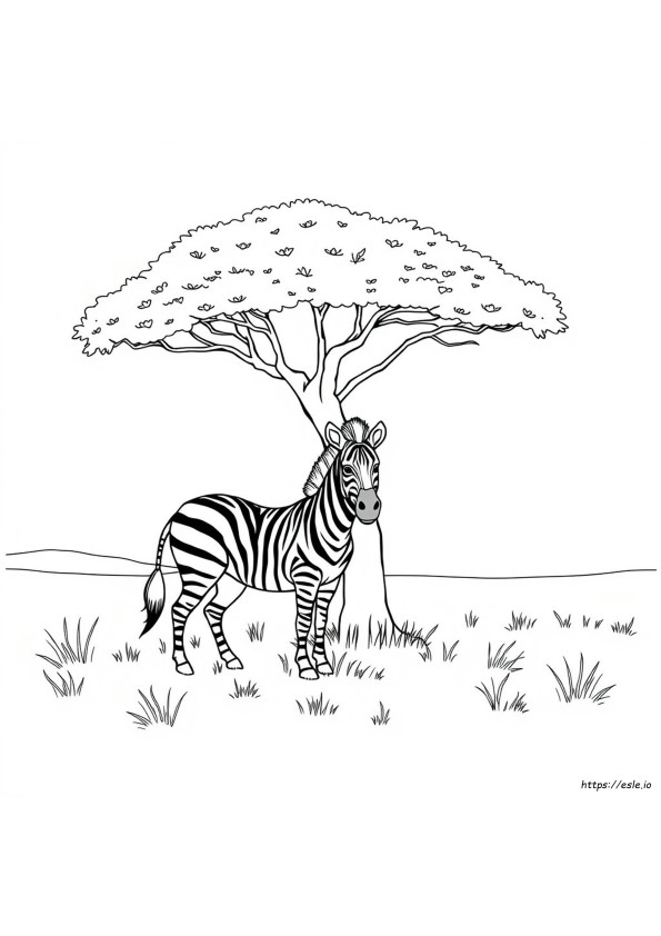 Disegni Da Colorare Con La Z Da Stampare