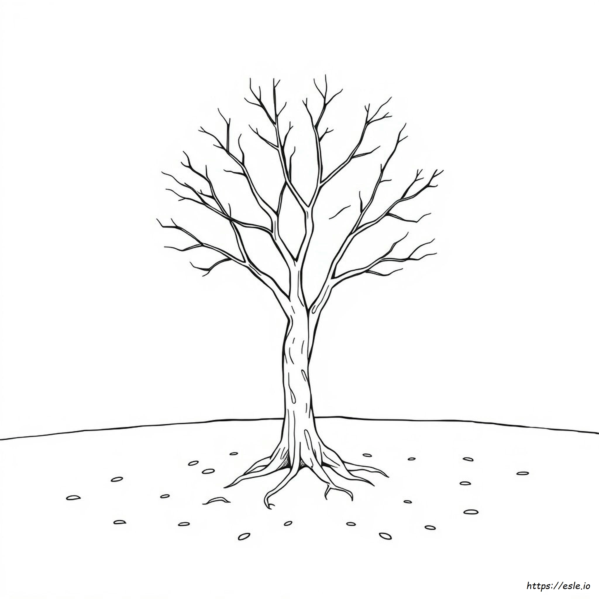 Tree With No Leaves Coloring Page