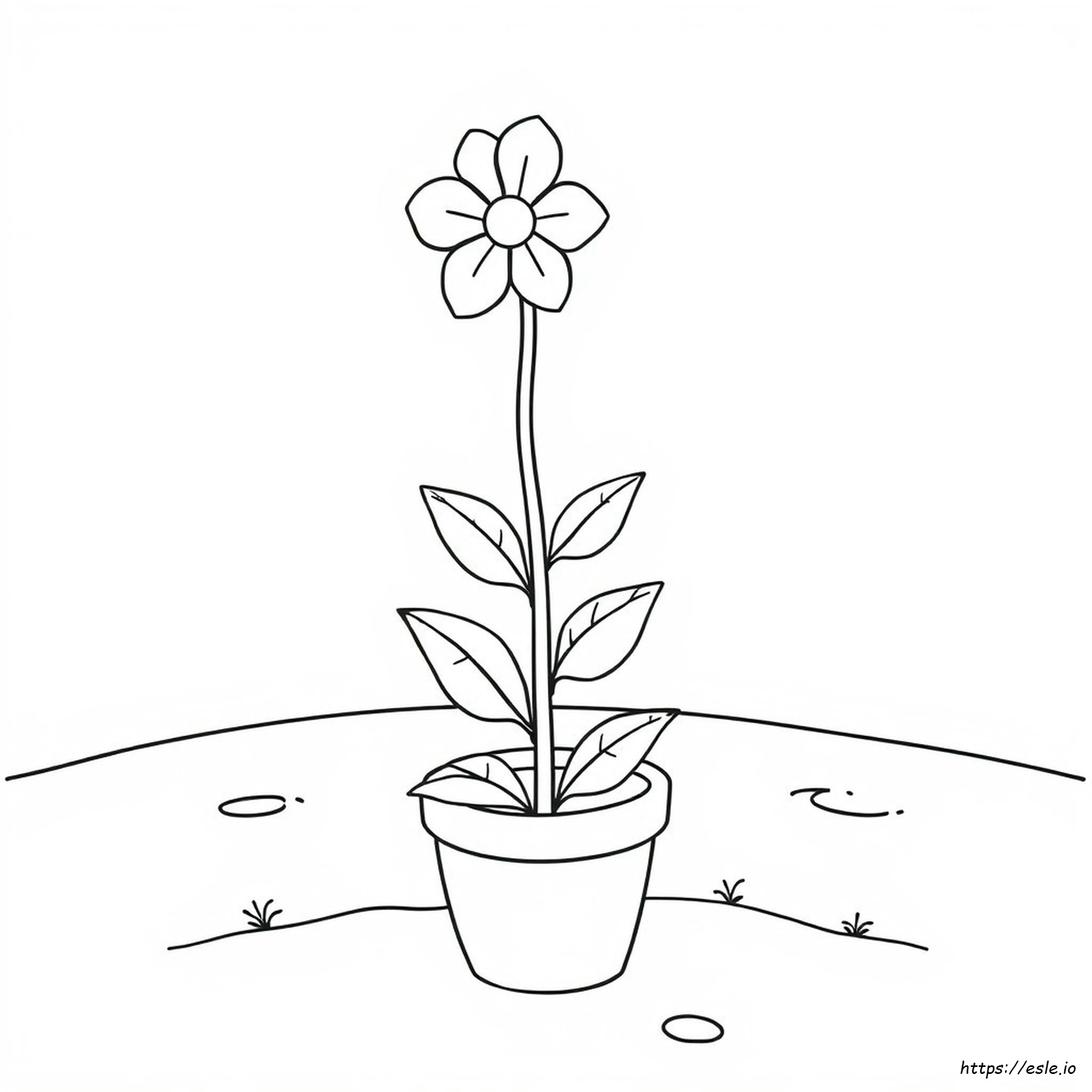 Flower Plant Coloring Page