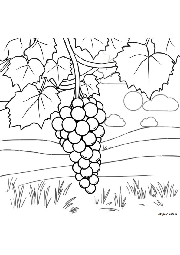 G For Grapes Coloring Page