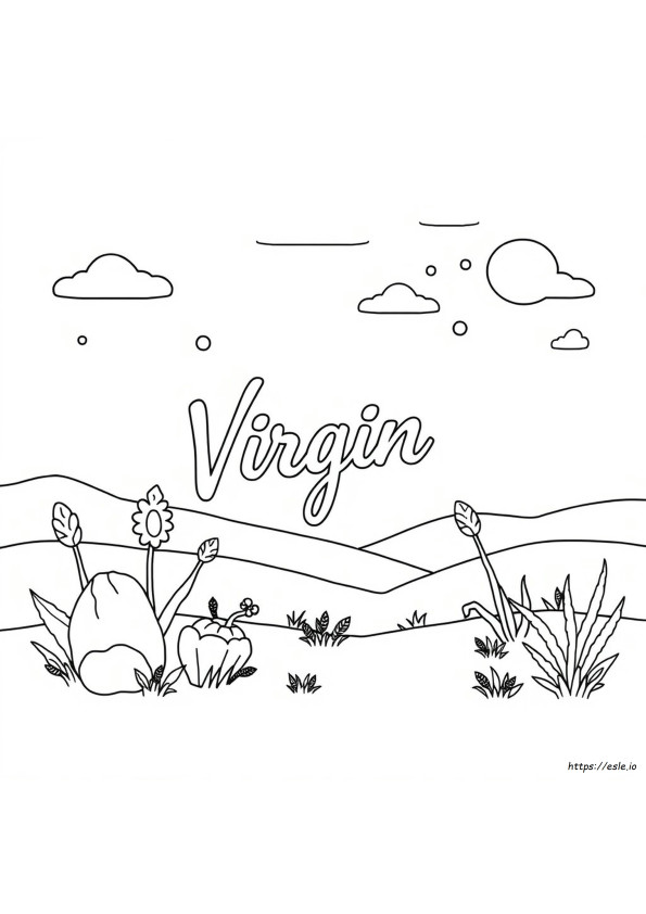 Virgin Color Meaning