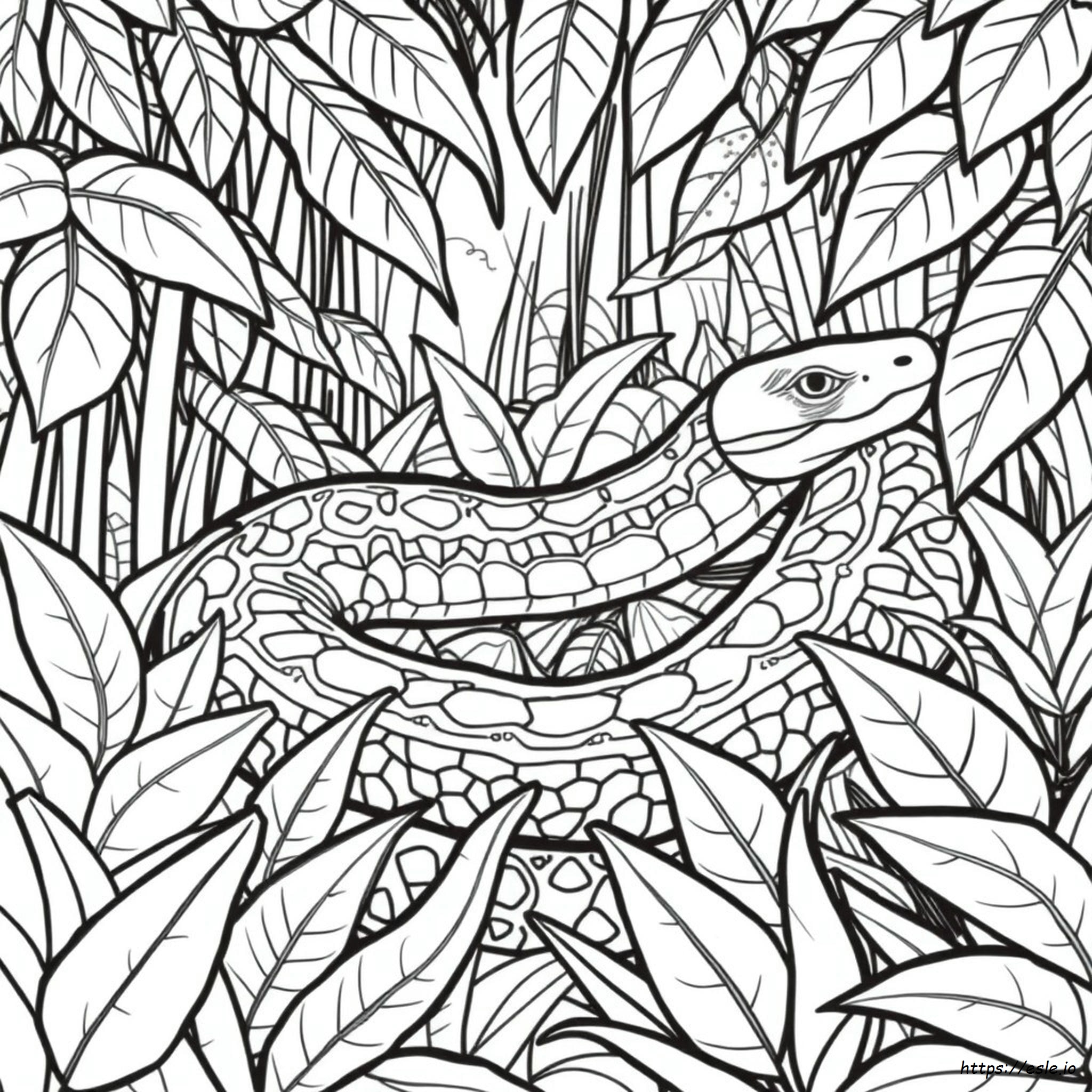 Anaconda Colouring Page