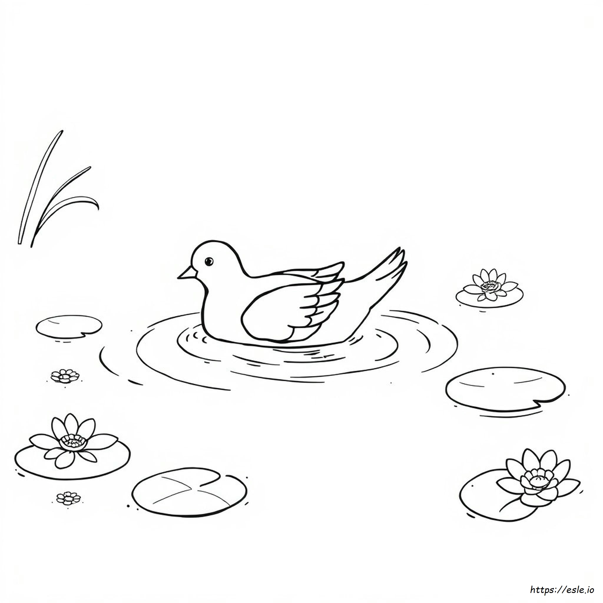 Coloring Pages Dovleac De Colorat